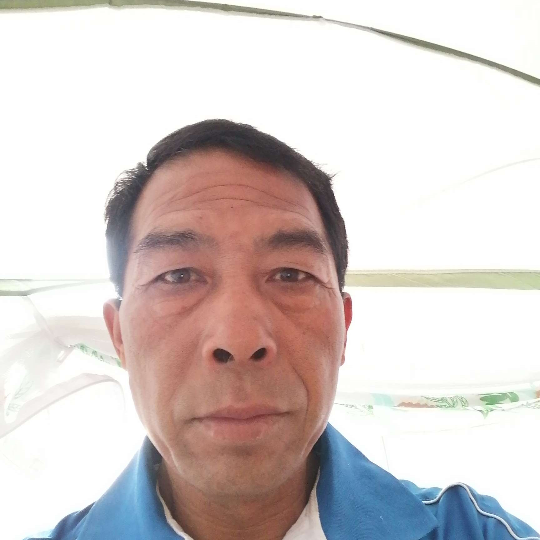 热情打纸鹤的照片