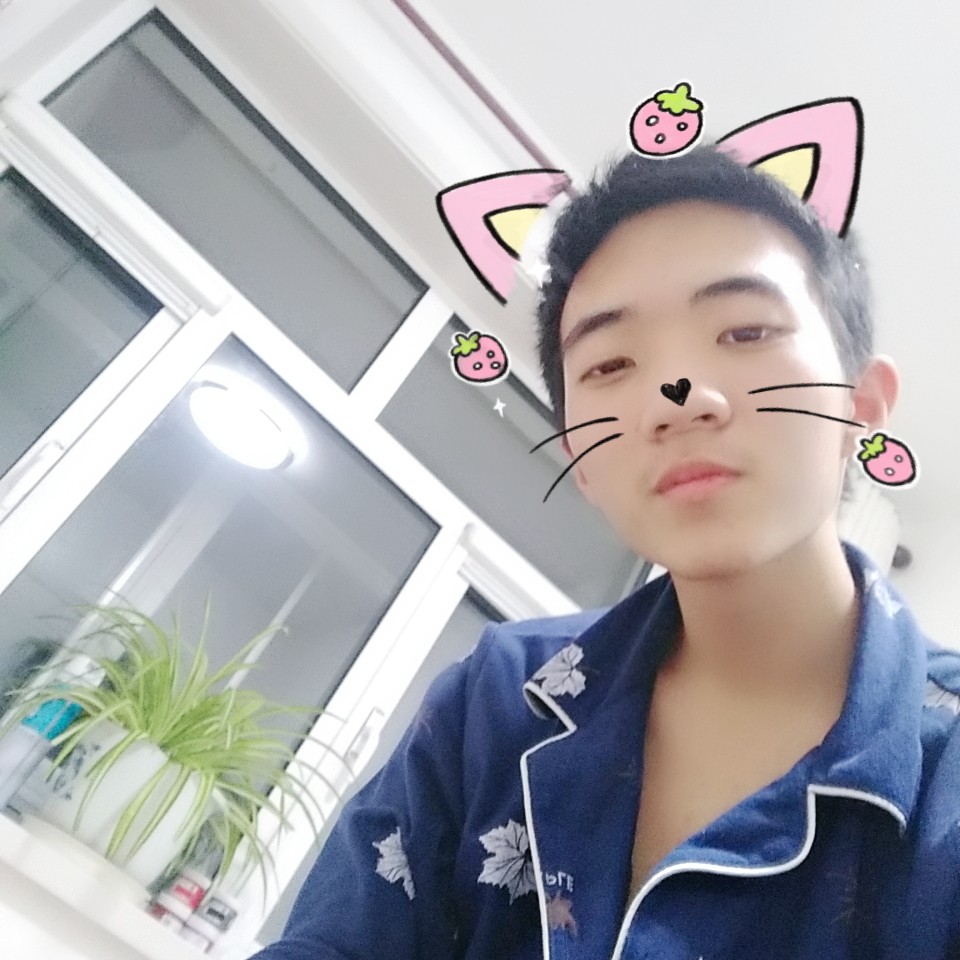 小海豚愿标致的照片