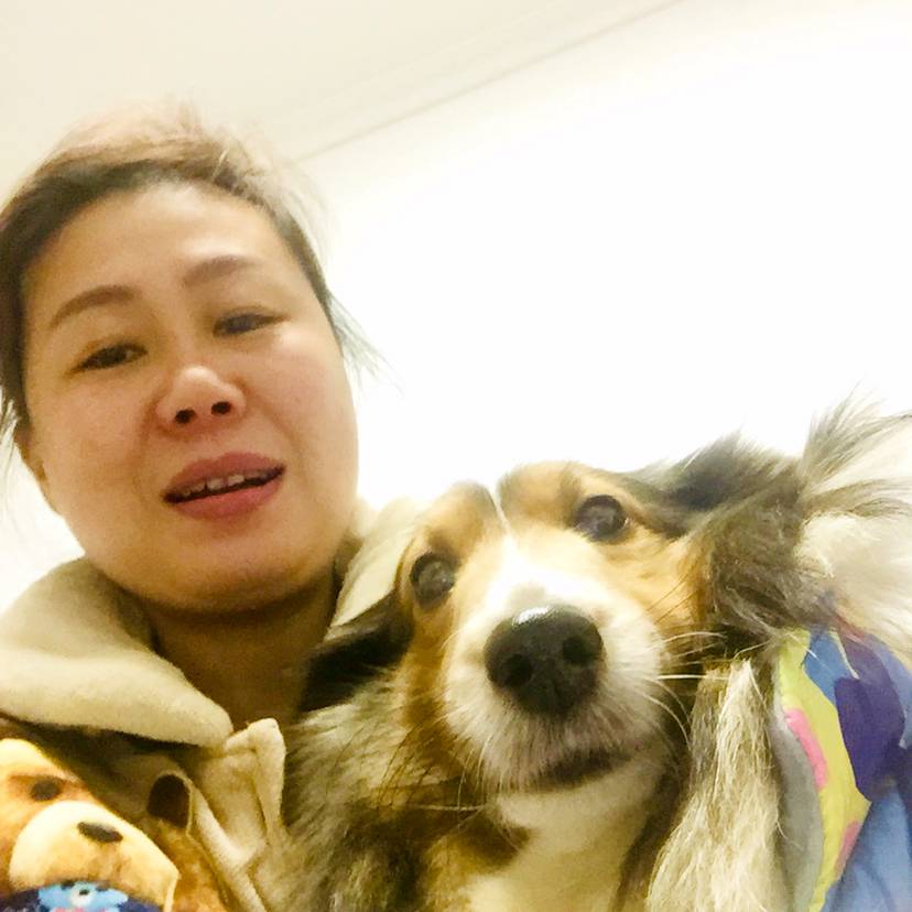 薇米休的照片