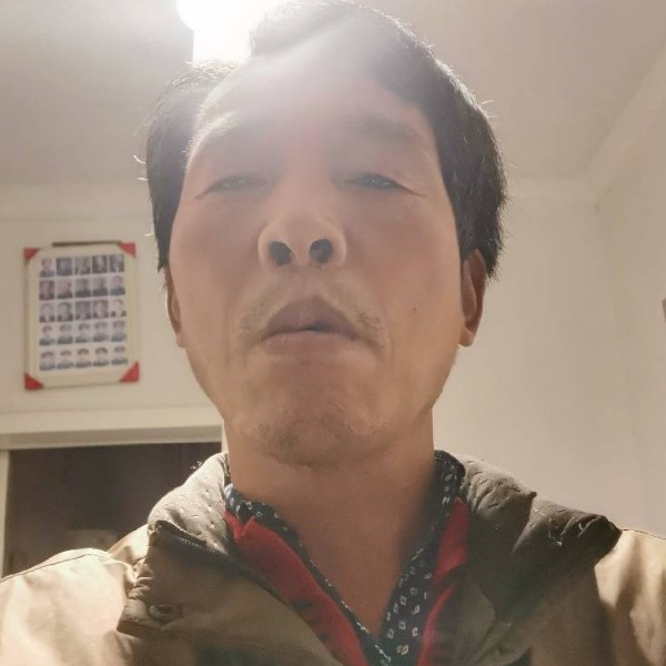 鸵鸟踢初夏的照片