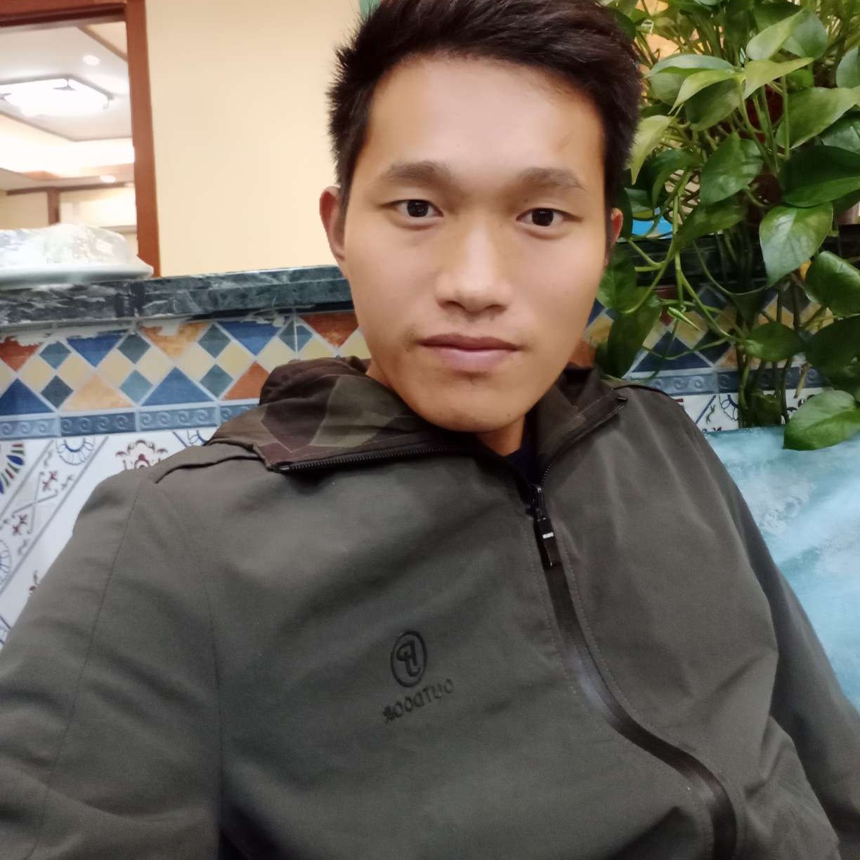 单身的糖豆的照片