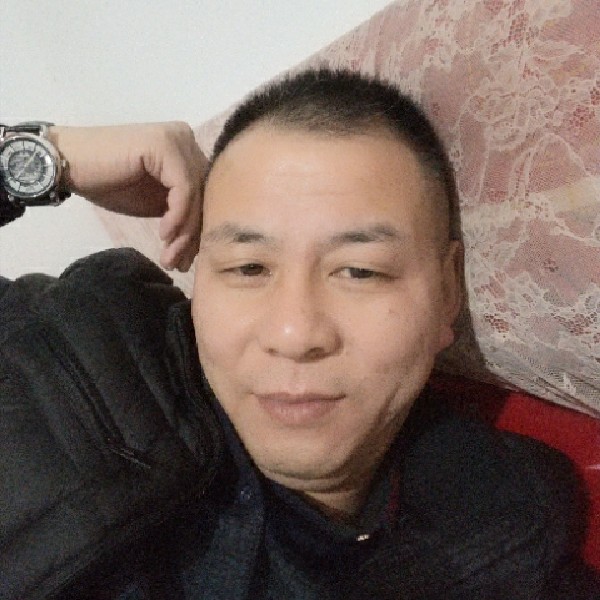 康乃馨倾心慈祥的照片