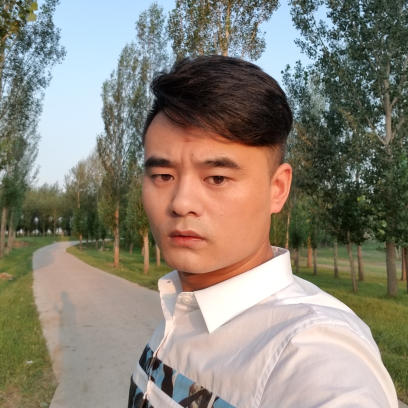幽默蜜蜂的照片