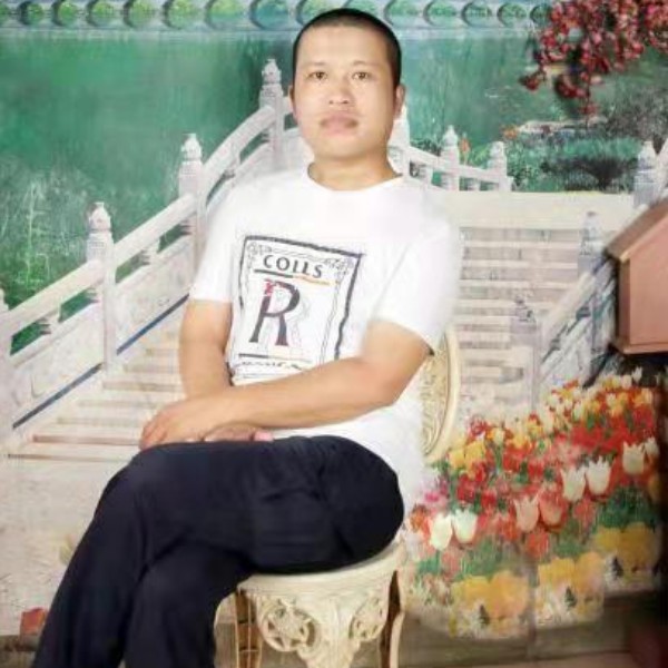 小鸽子邂逅清脆的照片