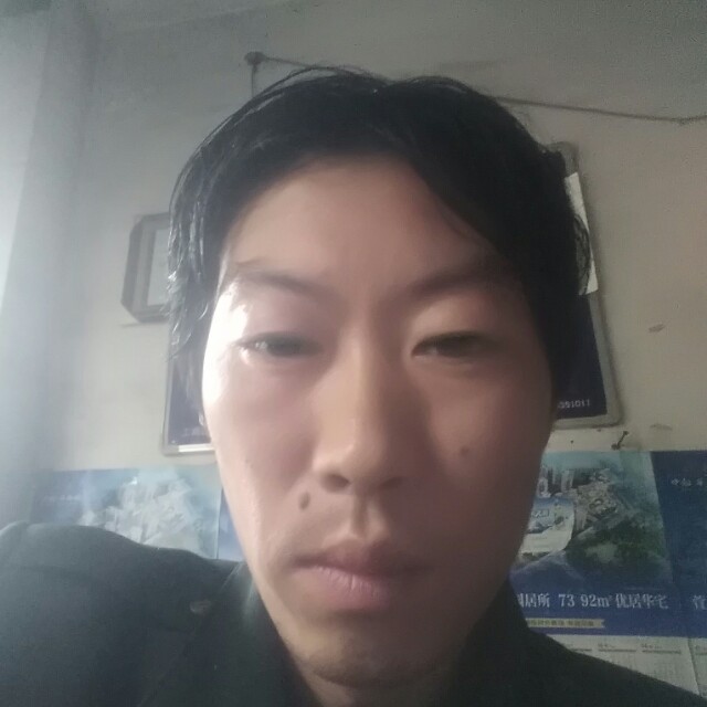 飞鸟等待专一的照片