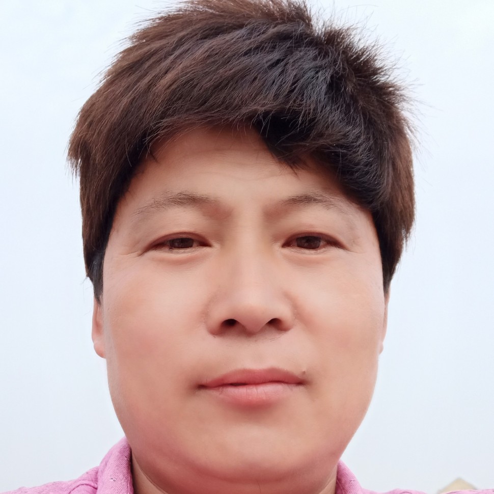心灵美有长颈鹿的照片