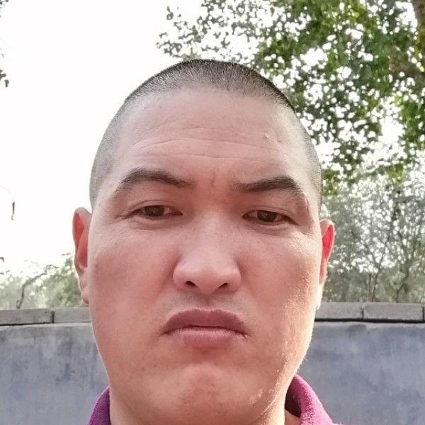 菠萝漫步迷人的照片