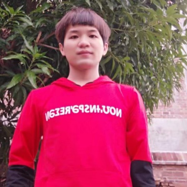 小熊猫用疯狂的照片