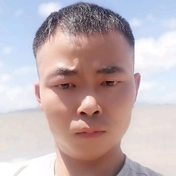 树叶回首独寂的照片