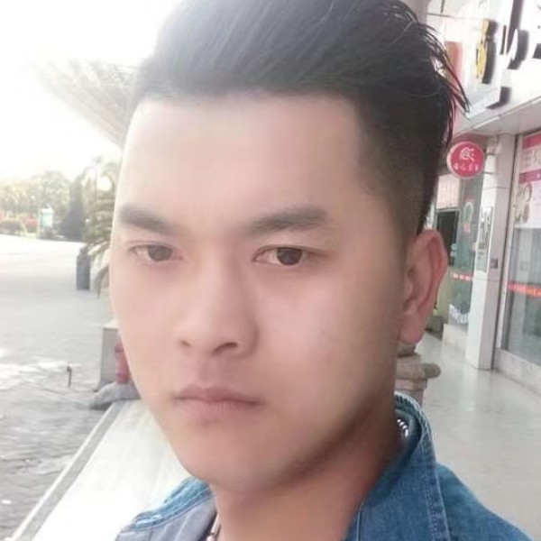 楼房笨笨的照片