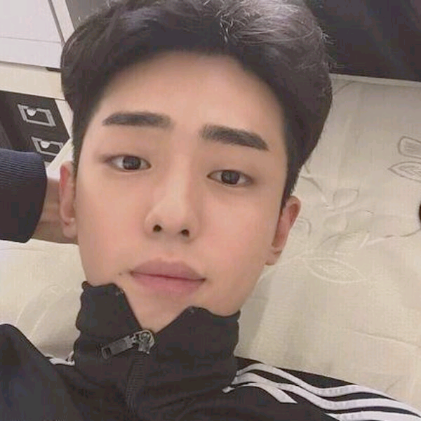 春风十里灬的照片