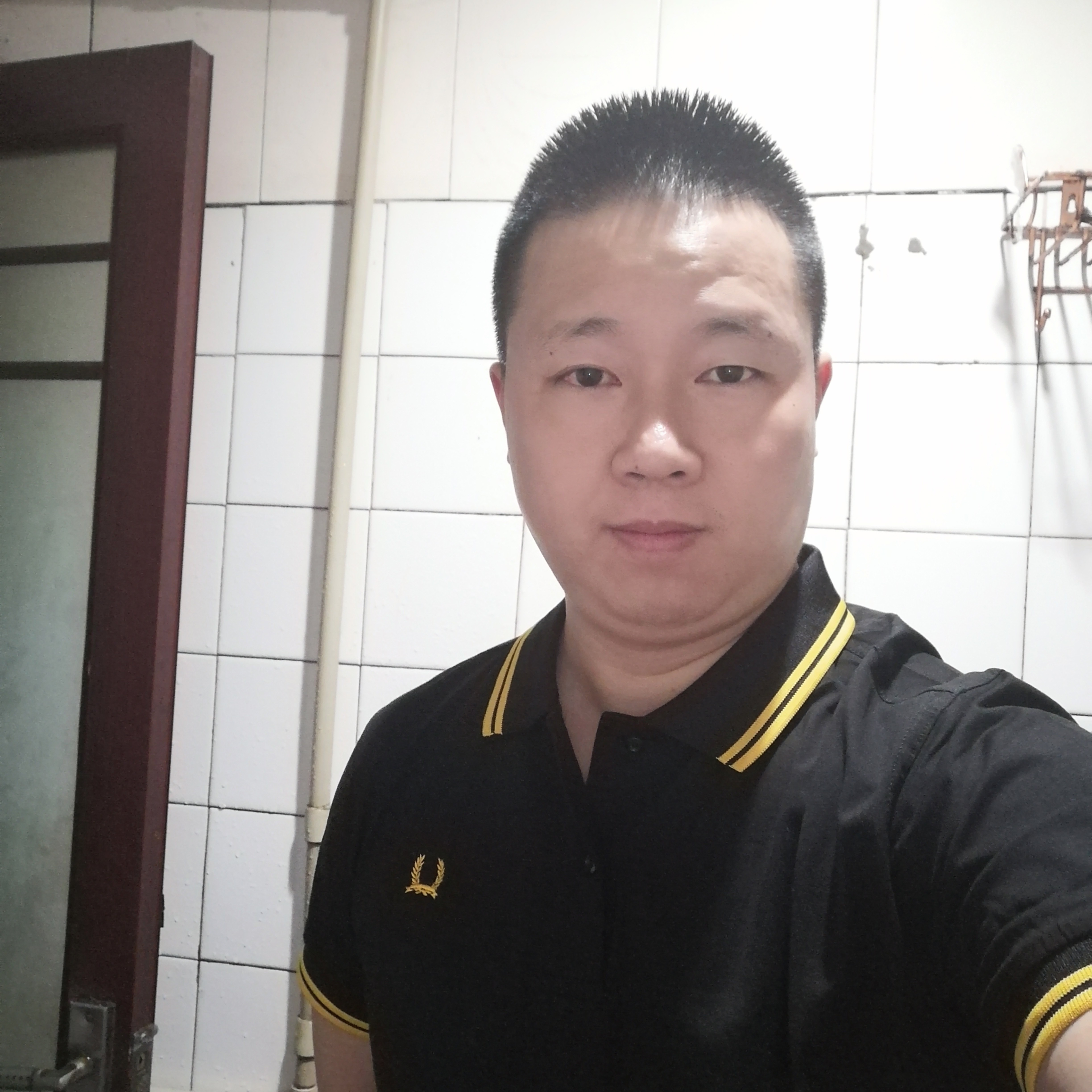 康乃馨爱恋强健的照片