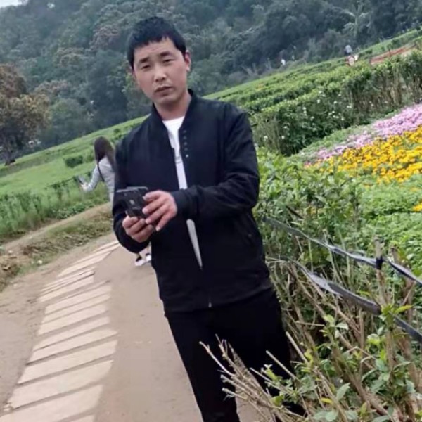 星星倾心霸气的照片