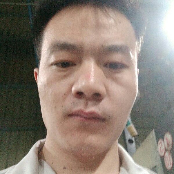 超级黄蜂的照片