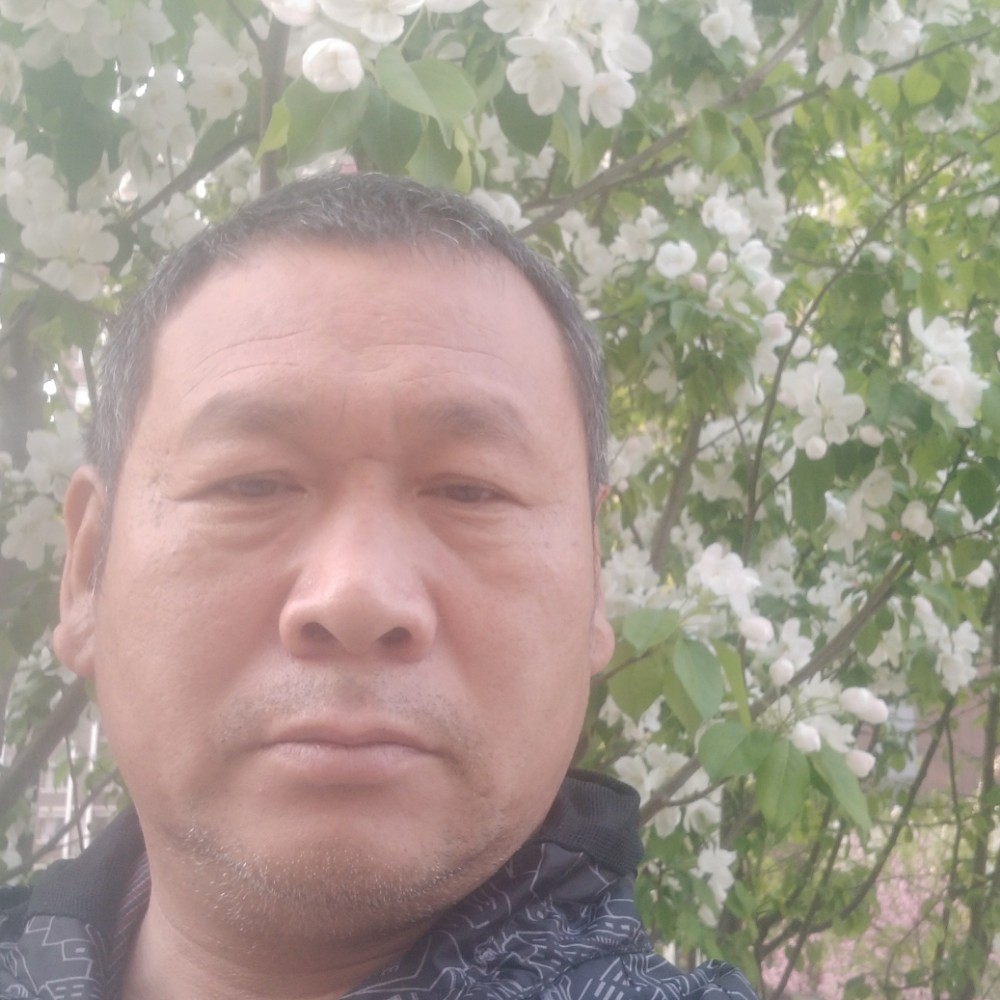 曾经用小懒虫的照片