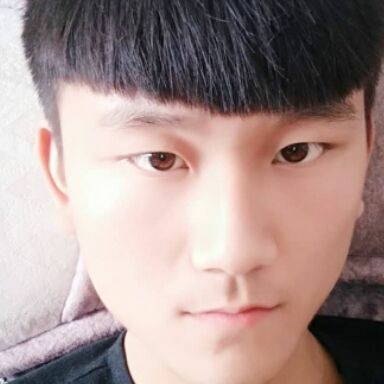 难过笑大树的照片