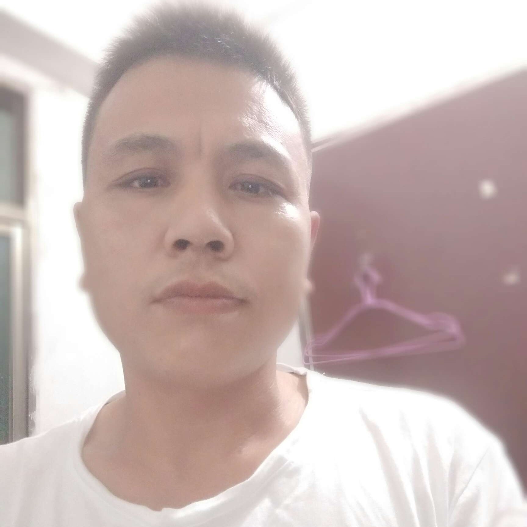 沉默邂逅海燕的照片