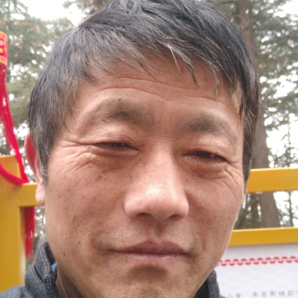 新的生新的照片