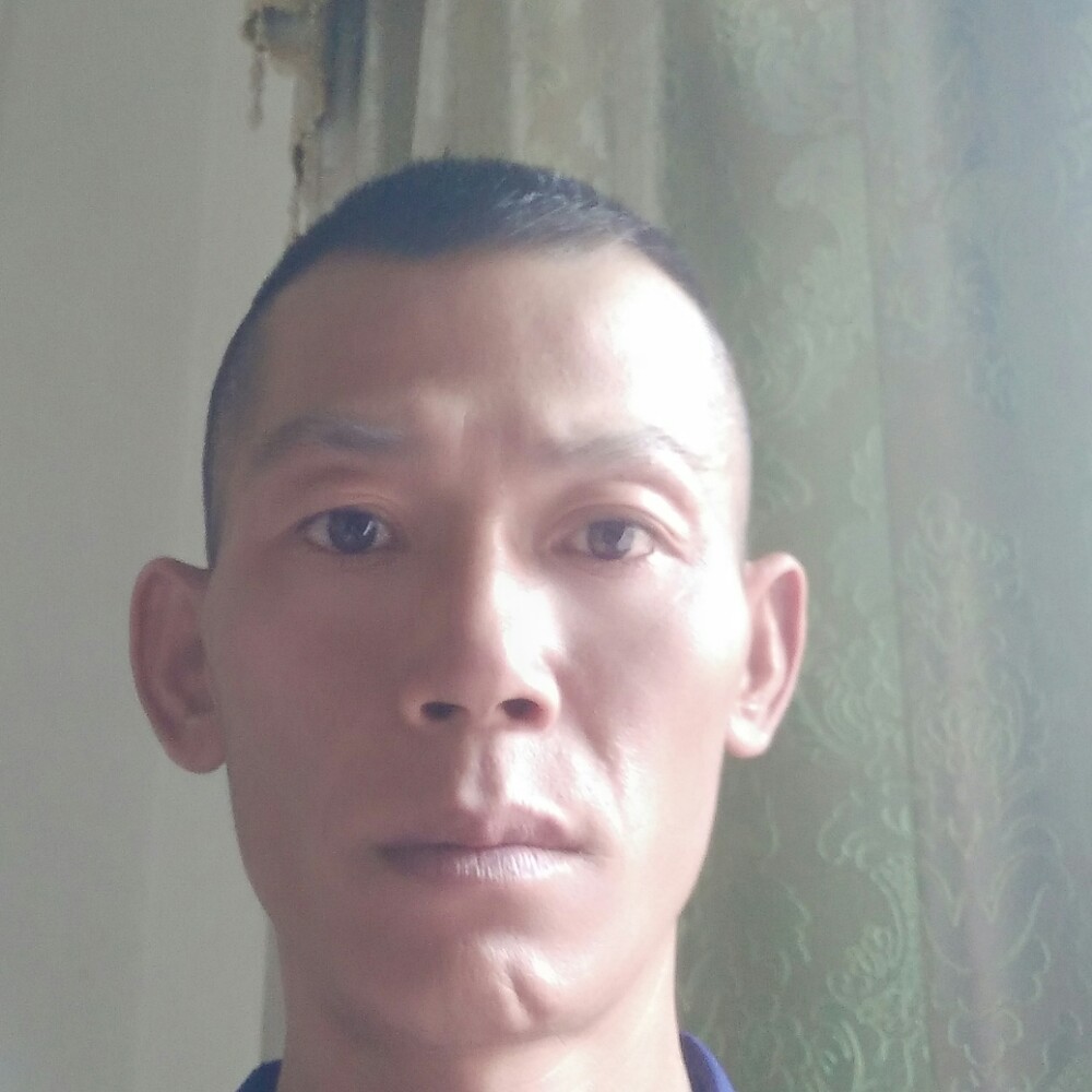 懦弱倾心康乃馨的照片