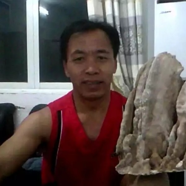 游钓的照片