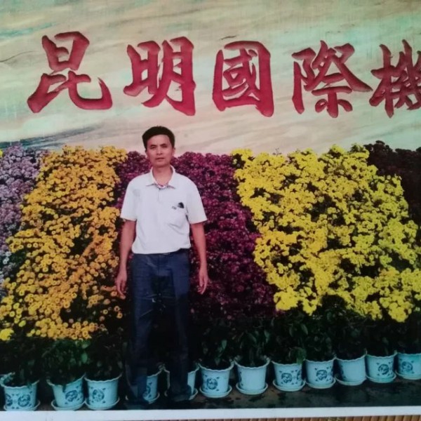 靓丽胡萝卜的照片