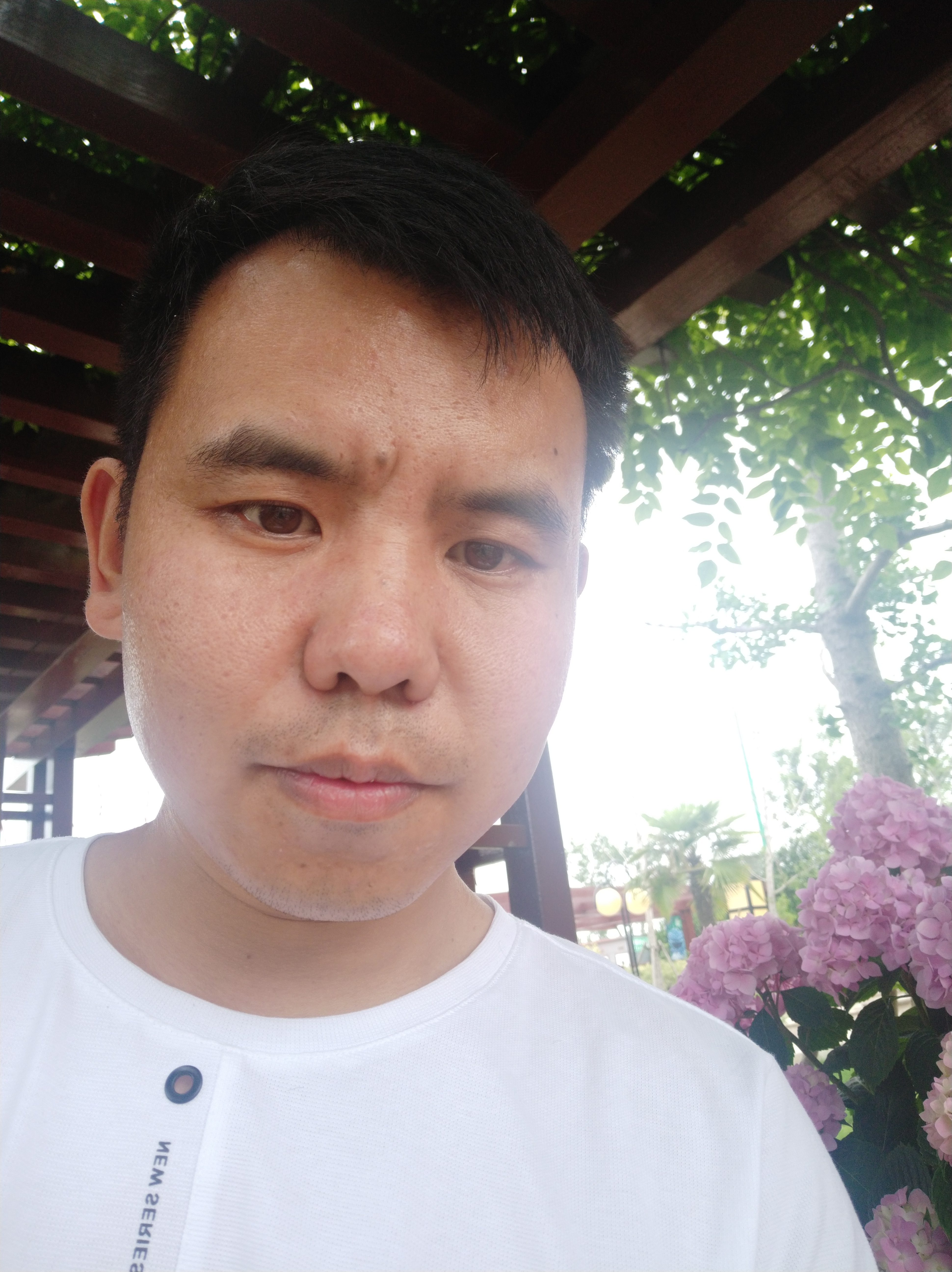 潇洒爱一回的照片
