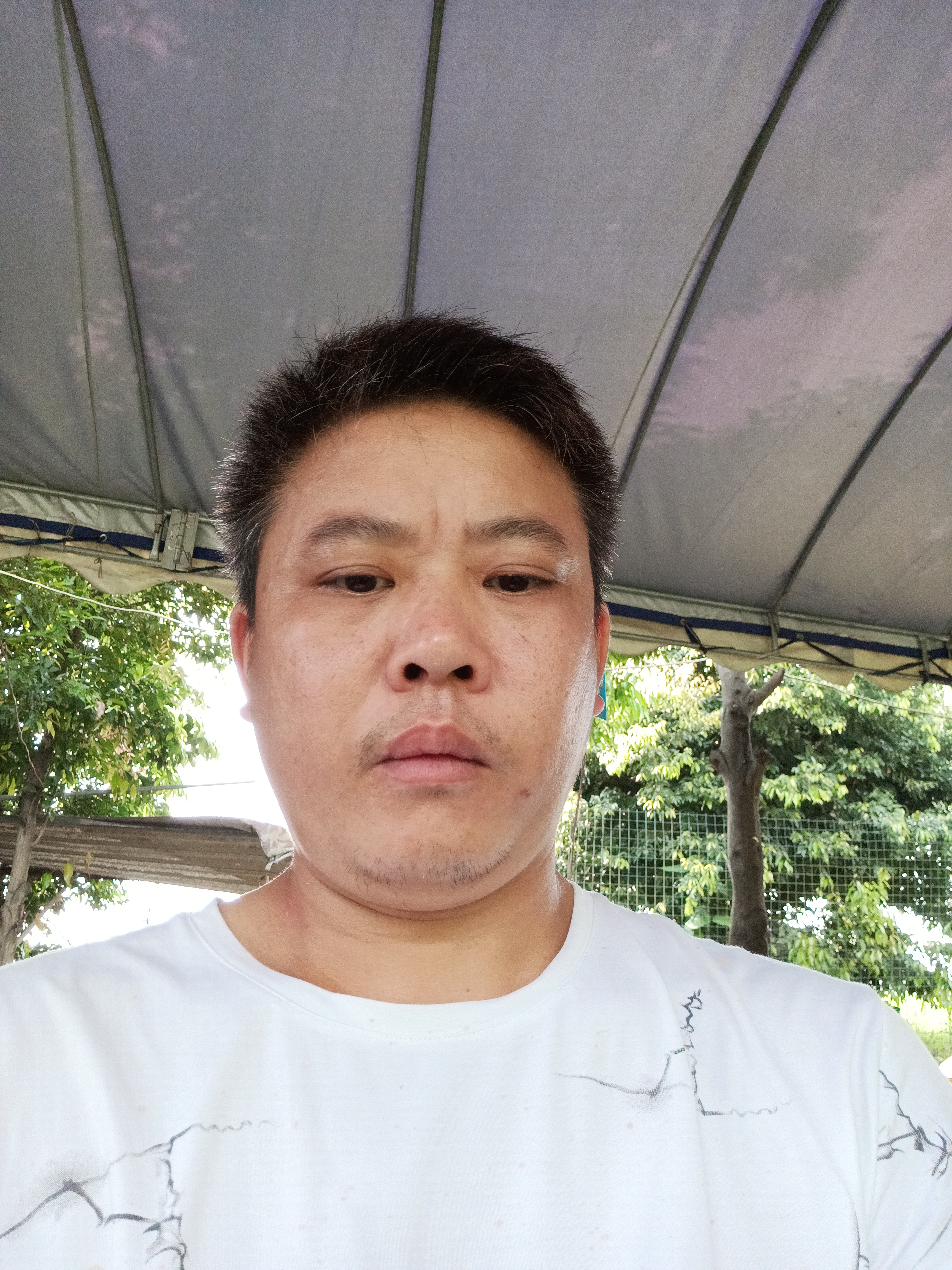 晚秋之枫的照片