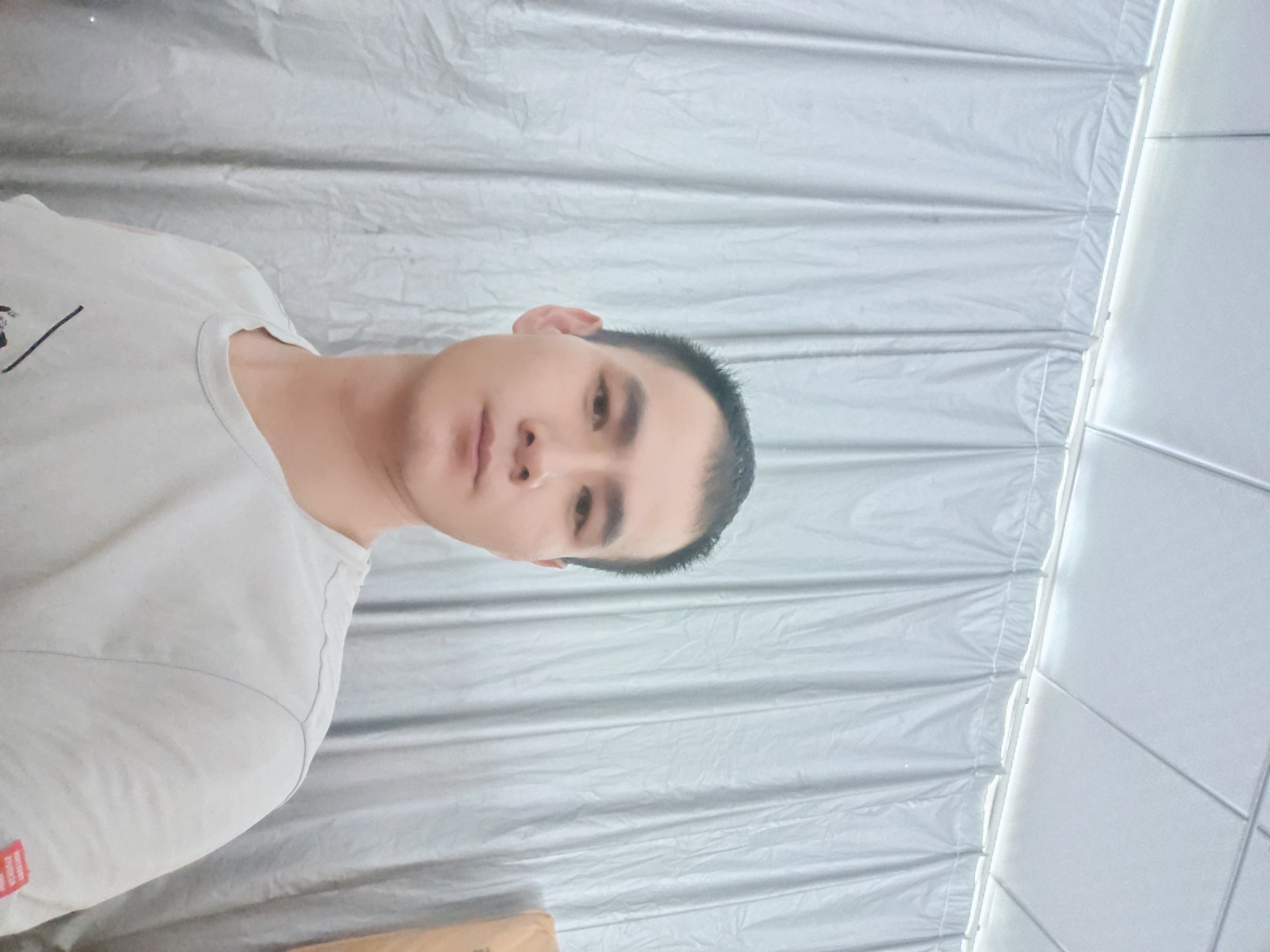 阳光衣旧的照片