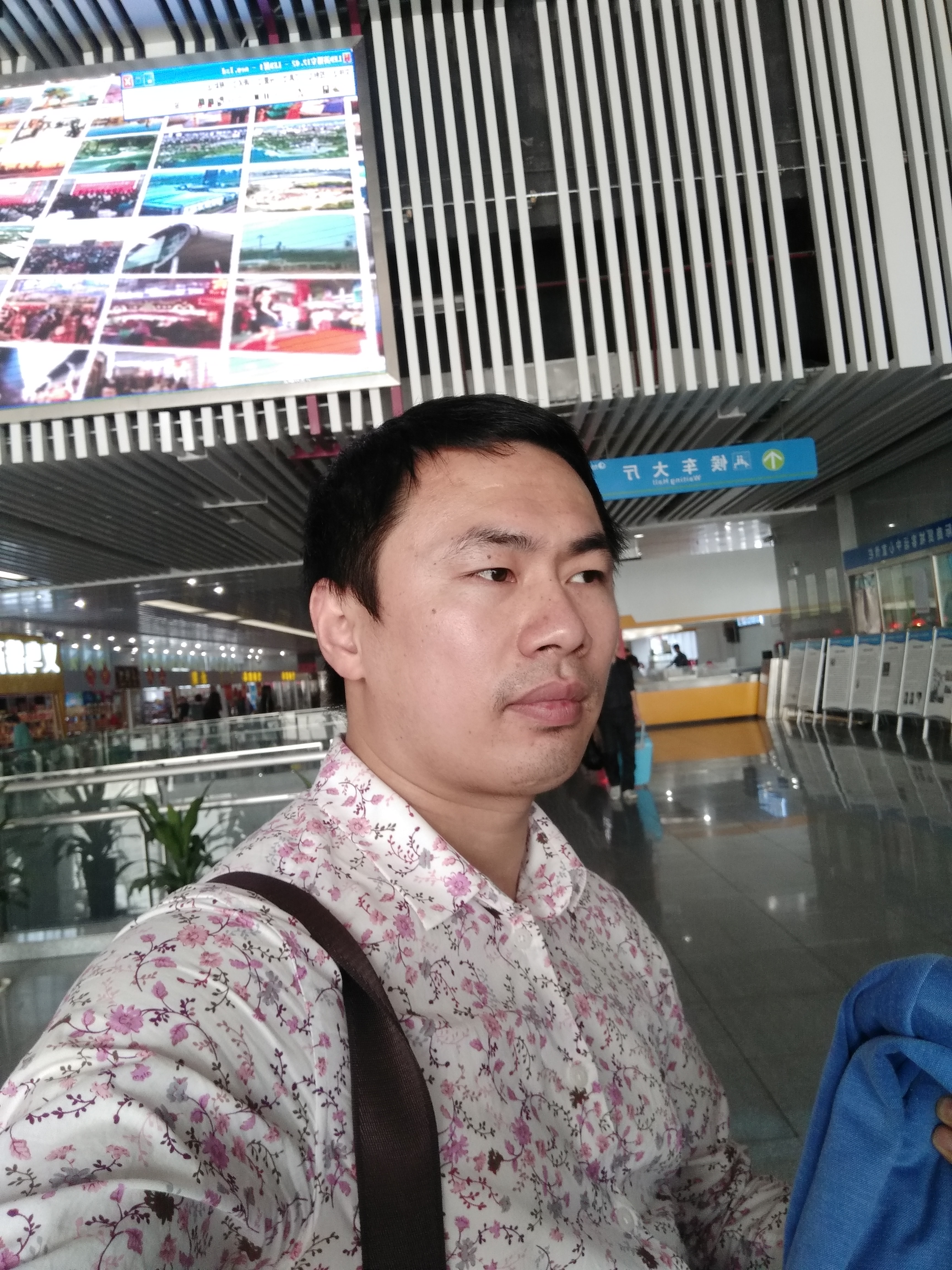 兰花草☜的照片