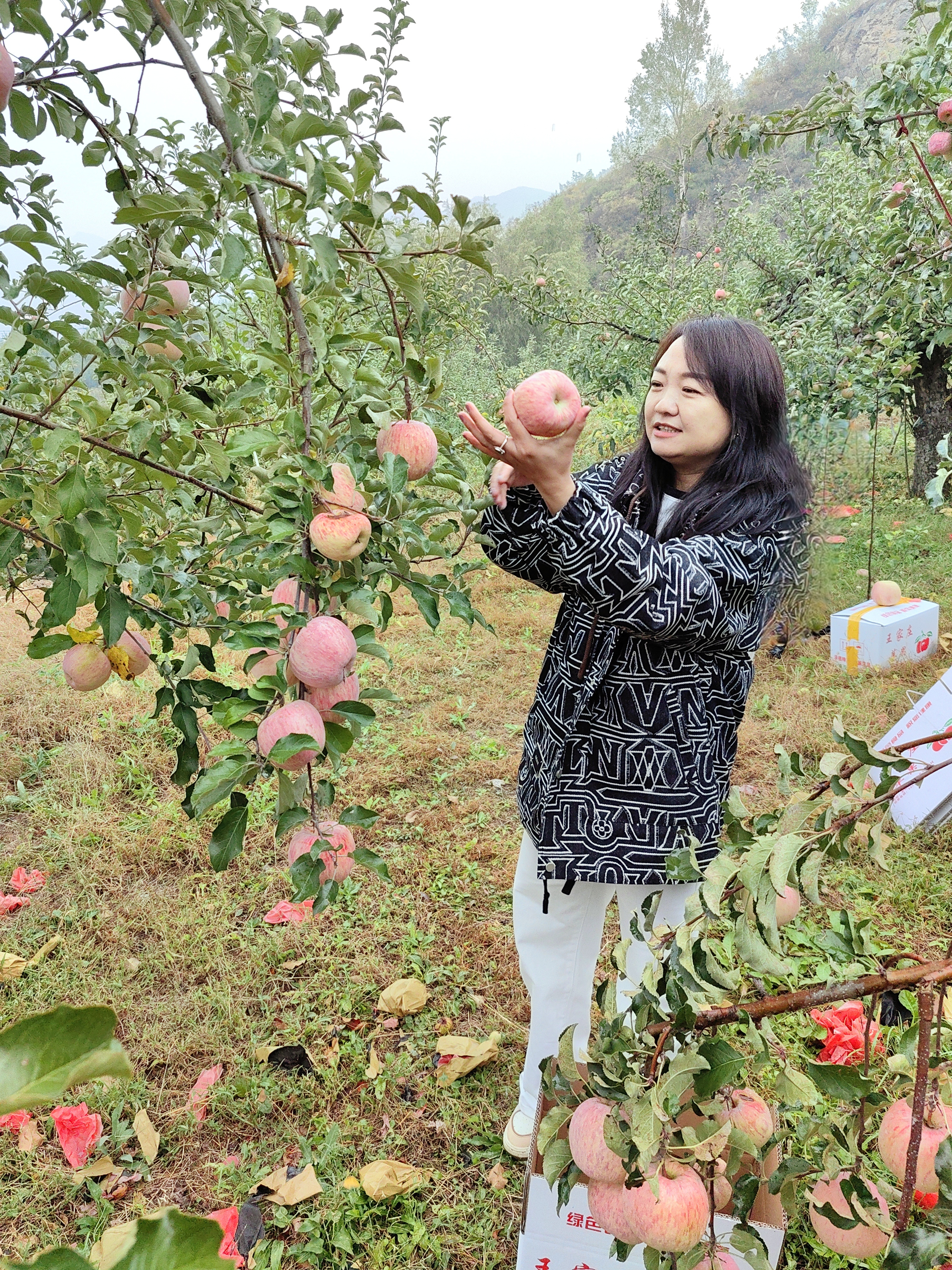 昕瑶的照片