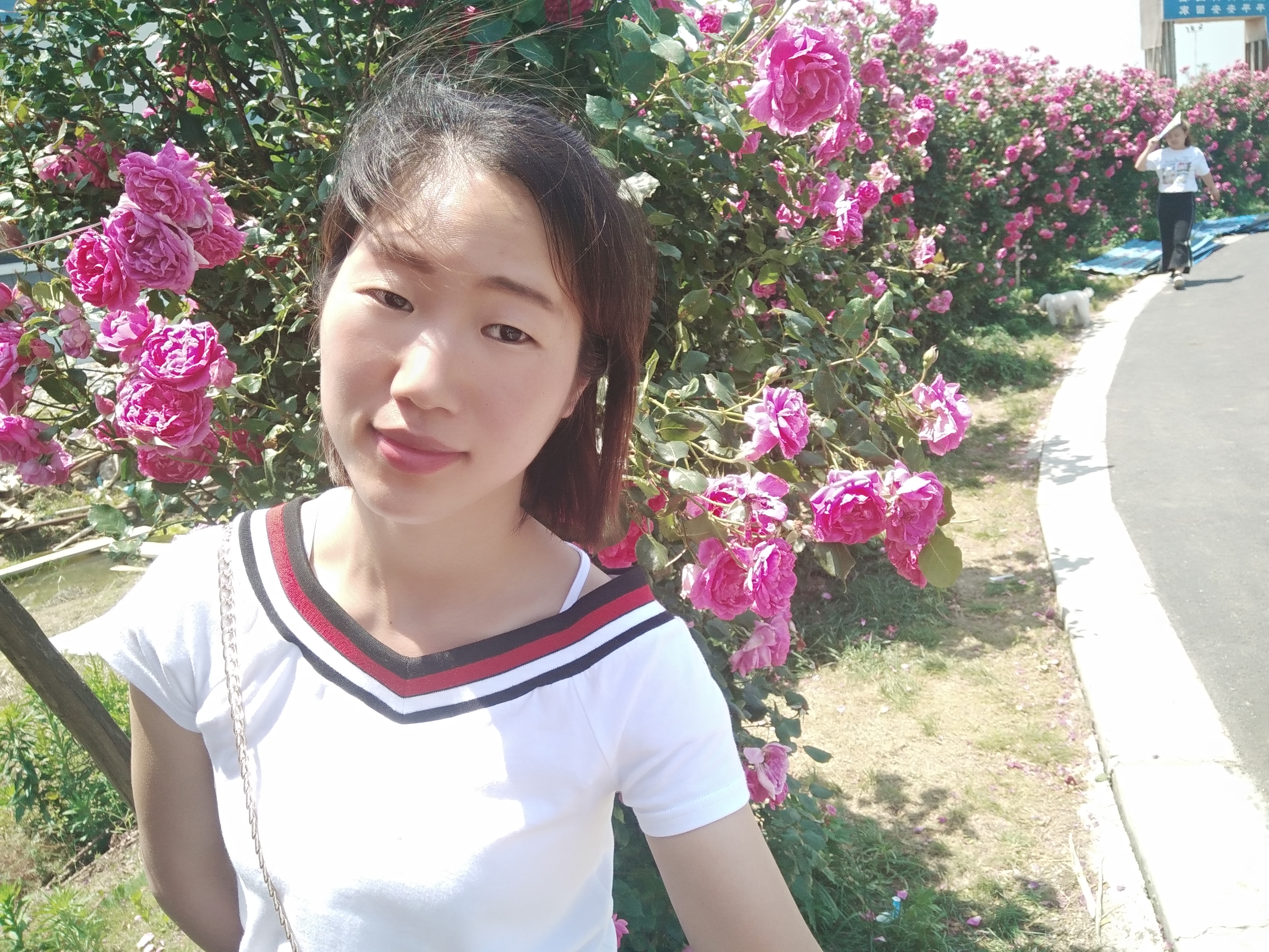 清@清的照片
