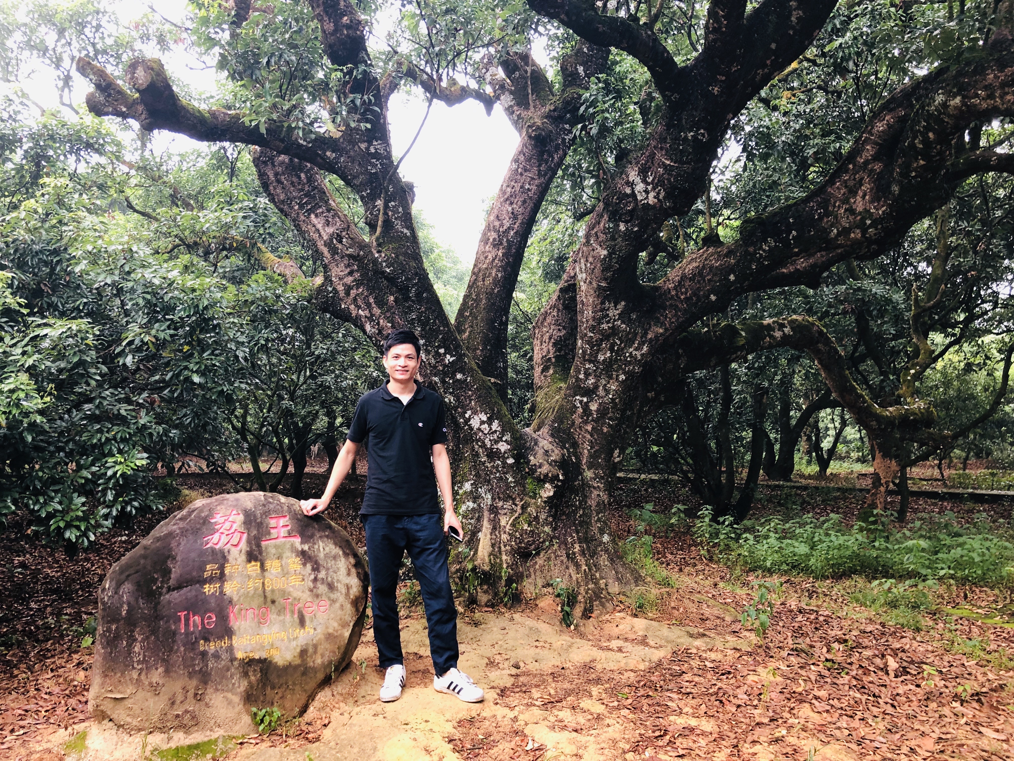 Longterm的照片