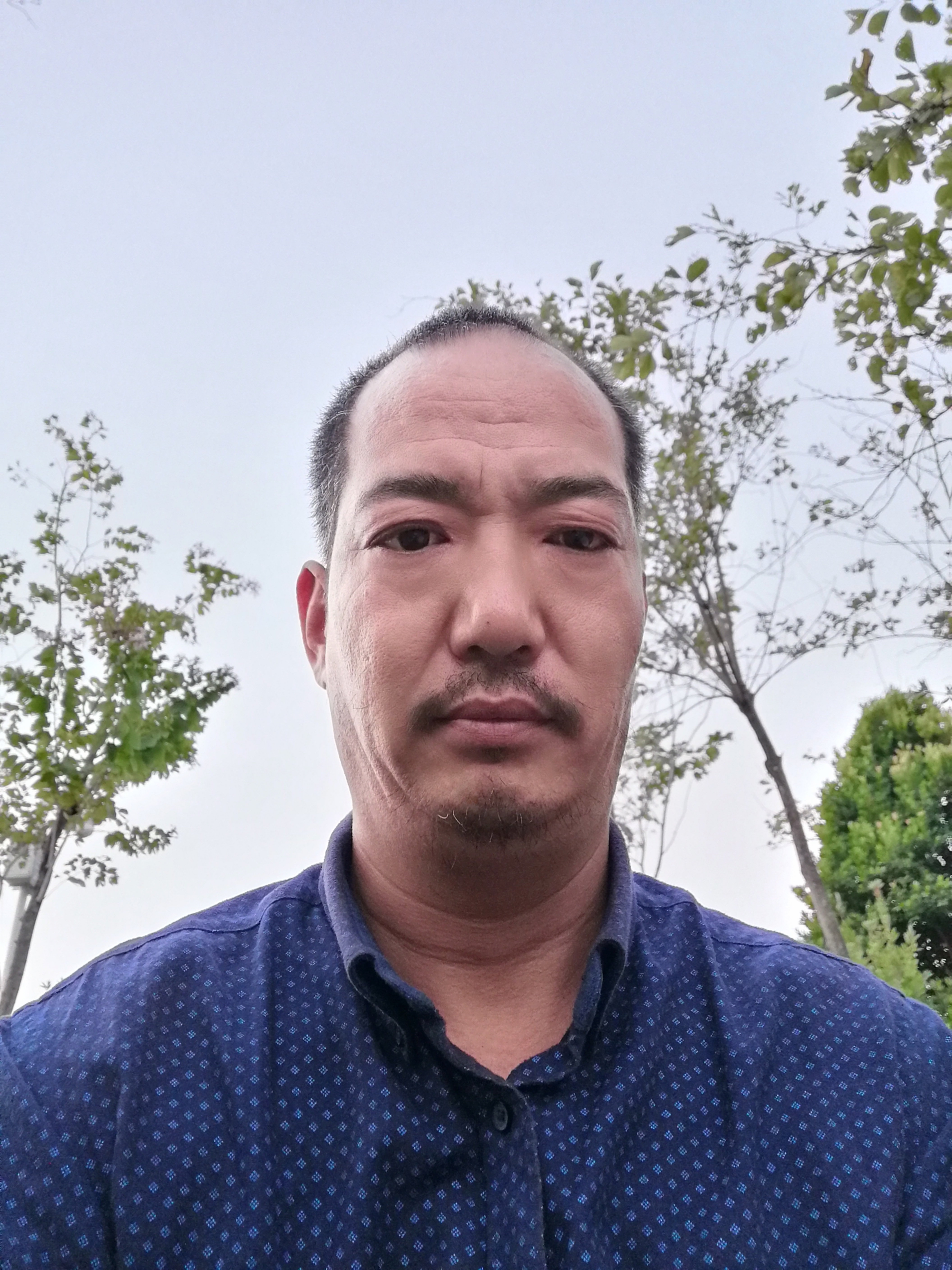 干火的照片