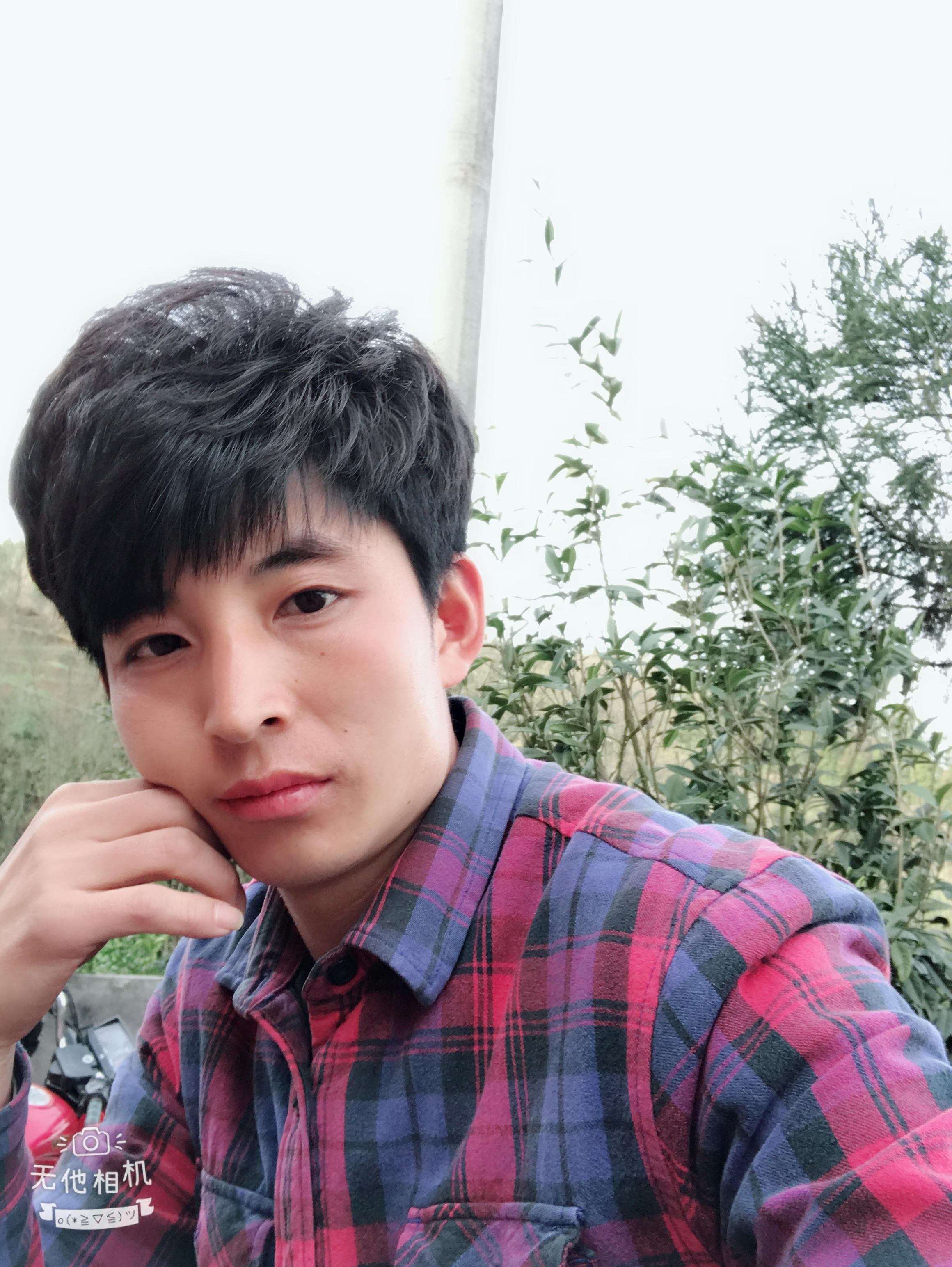 互相体贴的照片