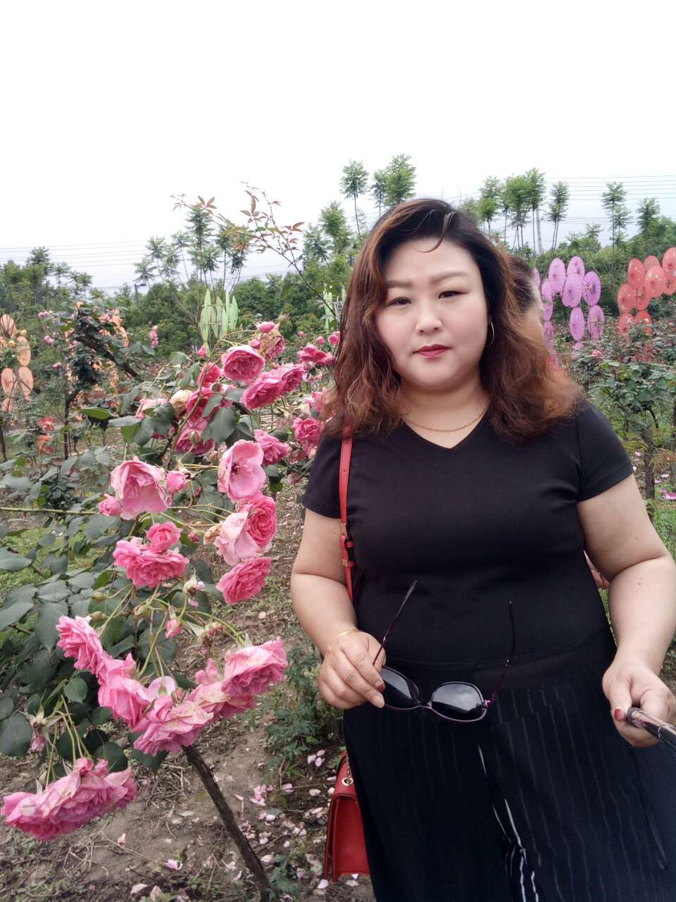42岁离异女征婚照片(id:1833913)_四川成都征婚交友_我主良缘网