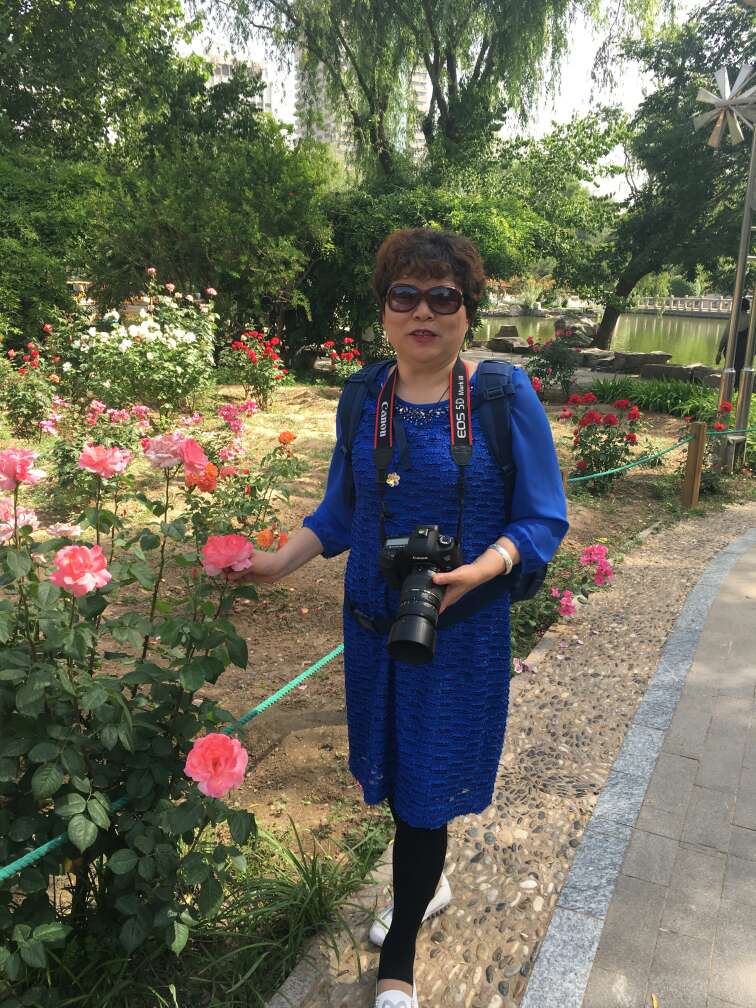 62岁离异女征婚照片(id:729482)_山东济南征婚交友_我主良缘网