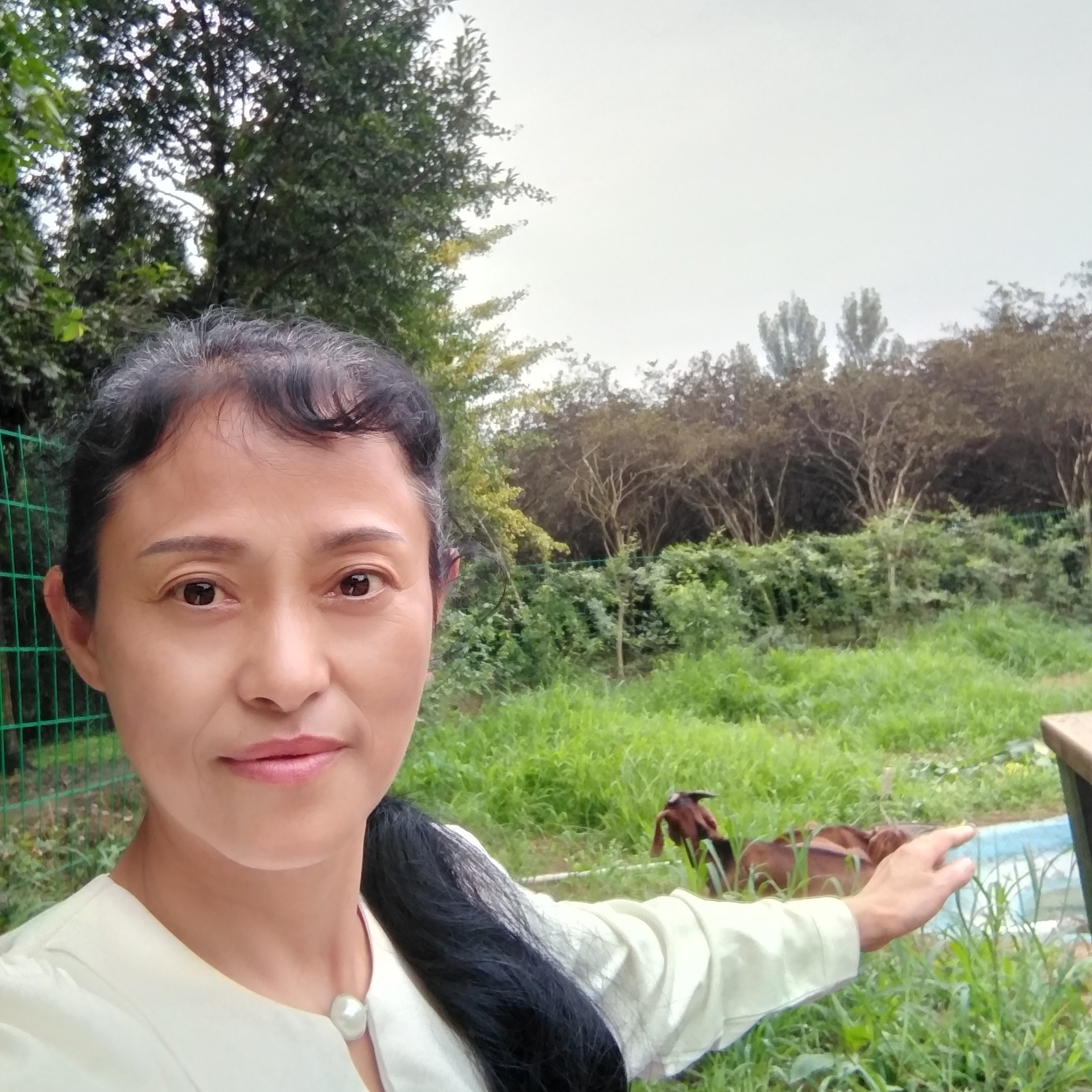 58歲離異女徵婚照片(id:5075360)_四川成都徵婚交友_我主良緣網