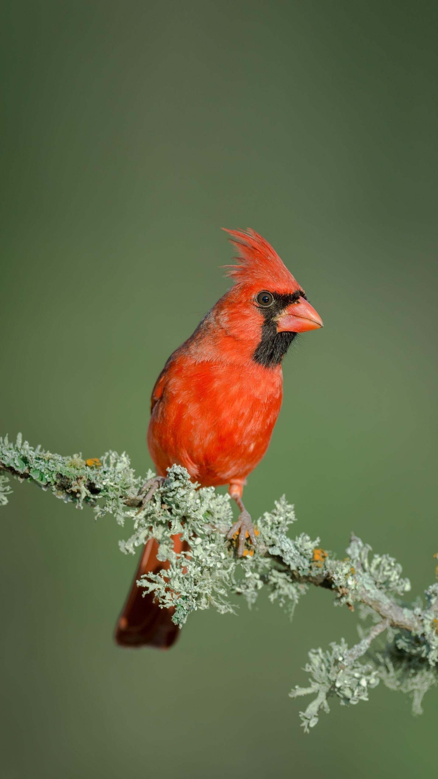 47岁离异男征婚照片(id:3175282)_广东深圳征婚交友_我主良缘网